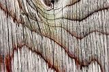 Wood Grain_11033